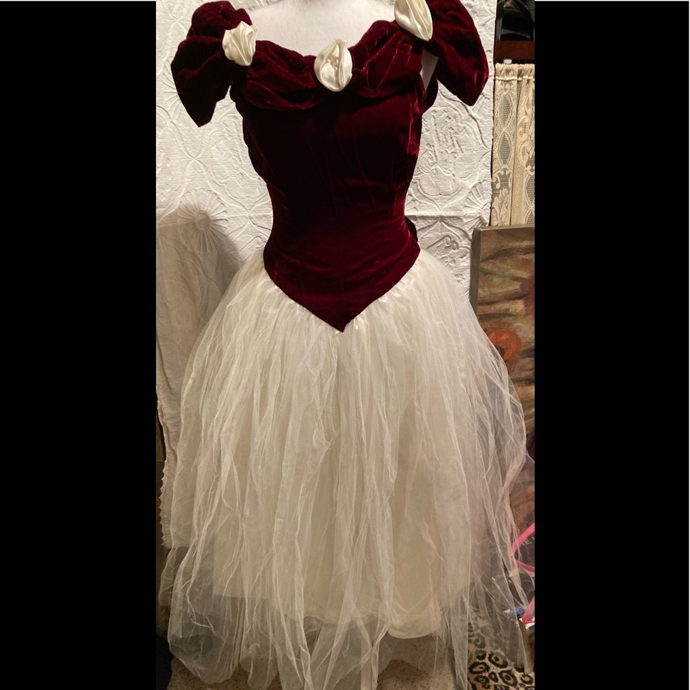 Vintage velvet top dress